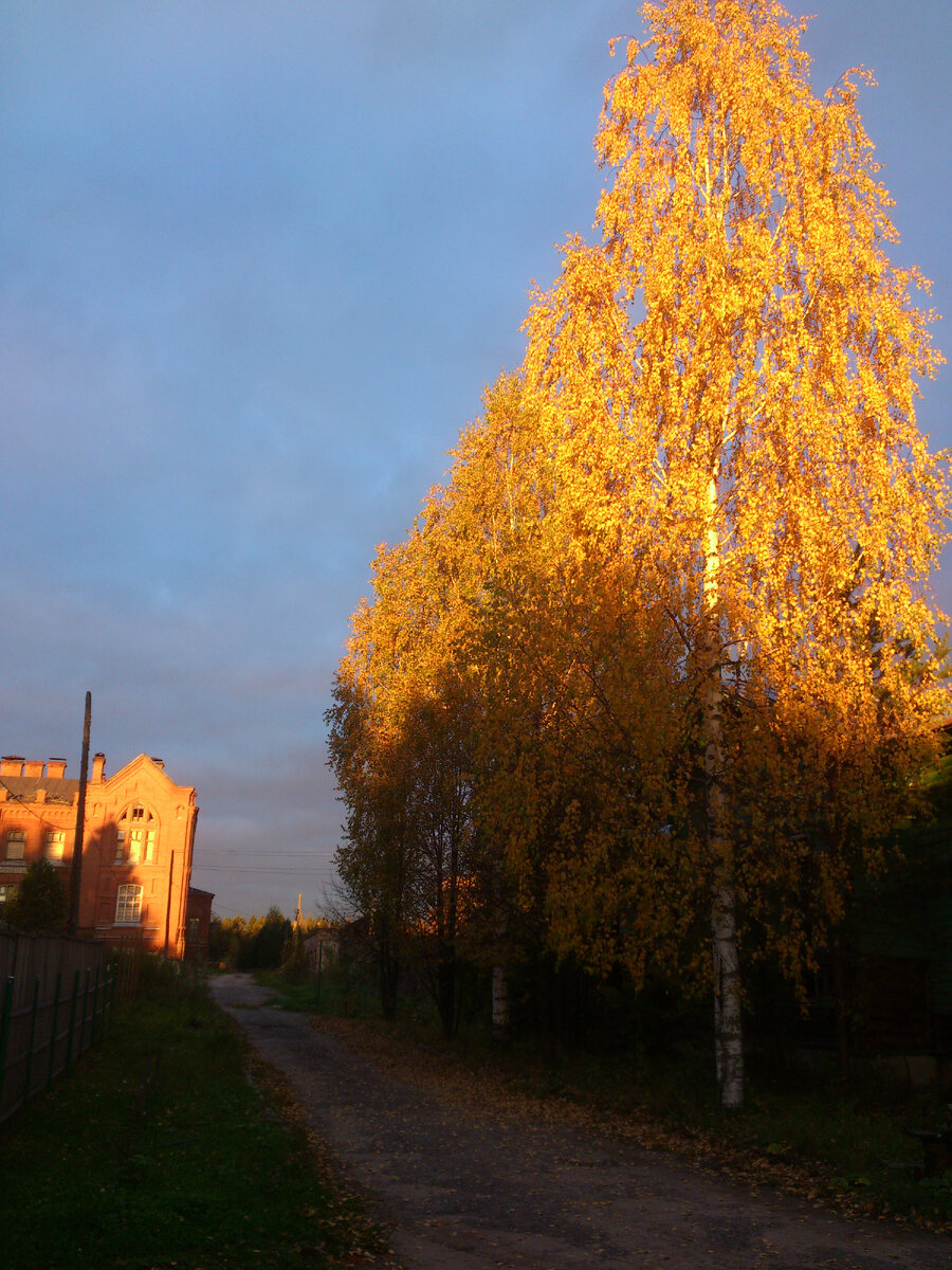 Фото автора. Осень в посёлке