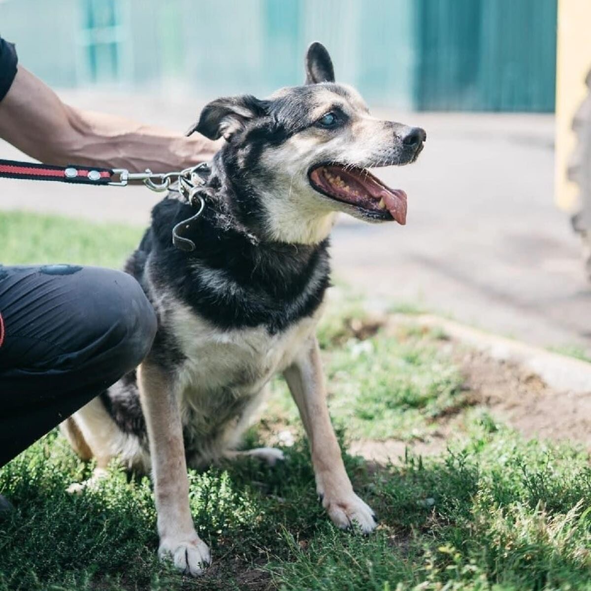    instagram.com/dogberrry admin