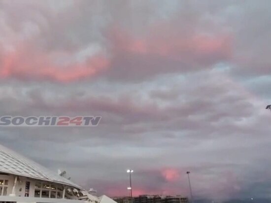     Скриншот видео телеграм-канала сочи 24/t.me/sochi24tv/13021