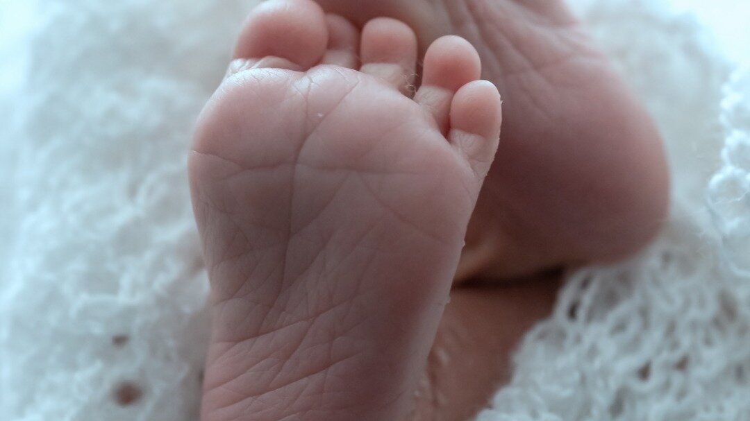     Работники ЗАГС отмечают, что родители все еще активно называют своих детей Михаилами, Артёмами, Софьями, Евами и Алисами.