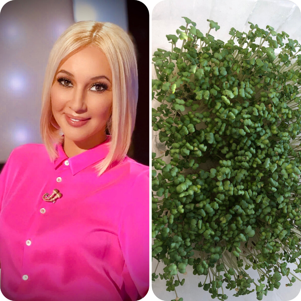 Здоровое питание