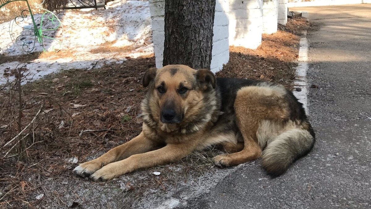     Прокуратура Татарстана внесла представление в адрес главы исполнительного комитета Альметьевска Айнура Исхакова. Об этом Inkazan сообщил старший помощник прокурора РТ по взаимодействию со СМИ Руслан Галиев.