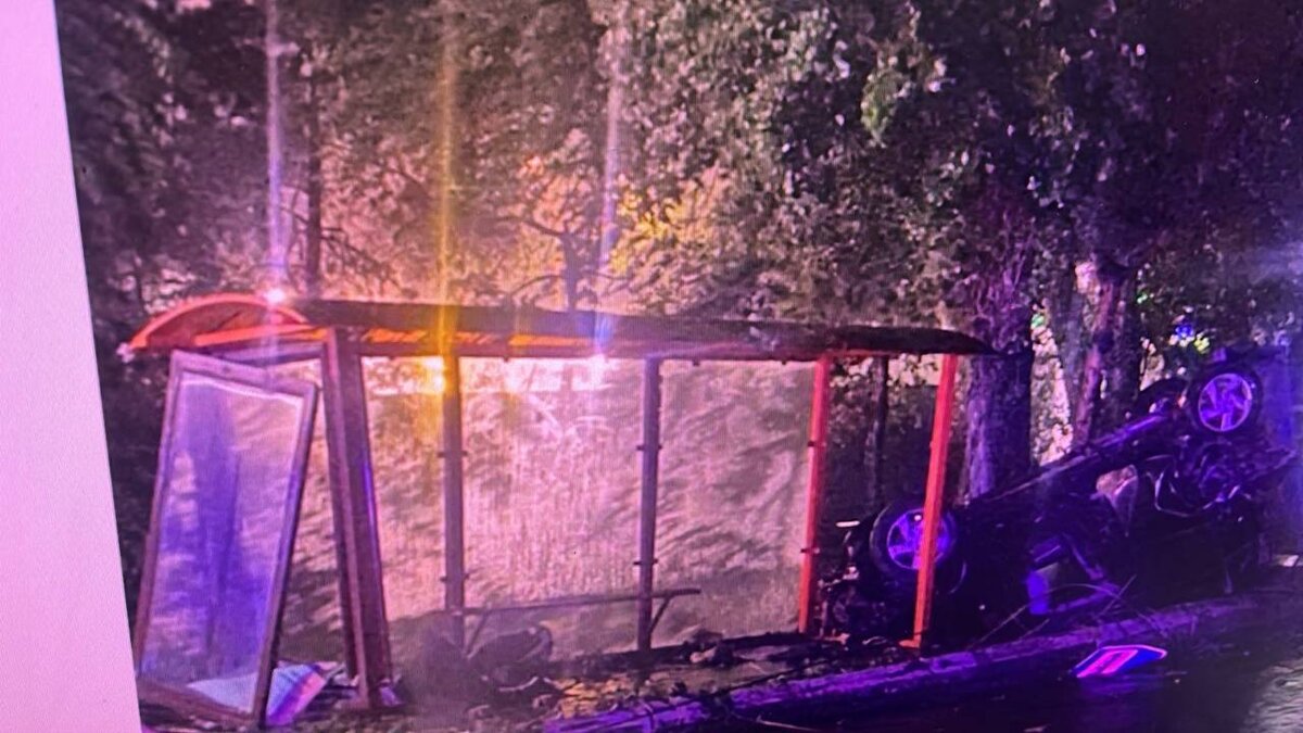 Фото: отдел пропаганды УГИБДД по Ростовской области