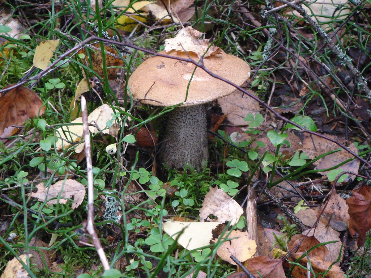 Фото из личного архива.