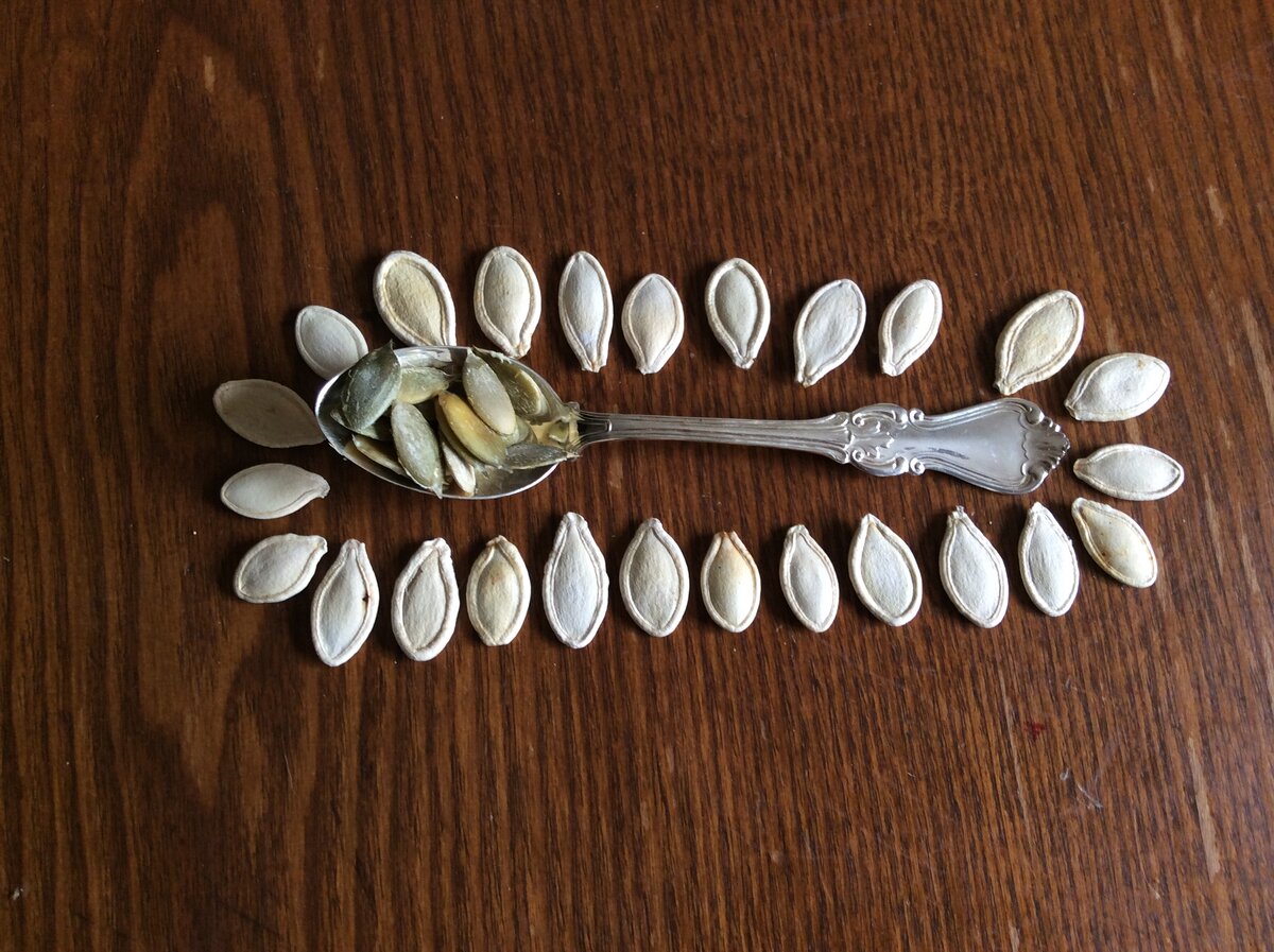 Фото канал OBRAZ