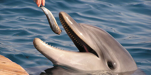 Этот факт почему-то забыт всеми