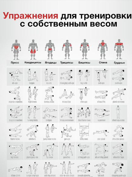 Комплексная тренировка — как в домашних условиях прокачать всё тело