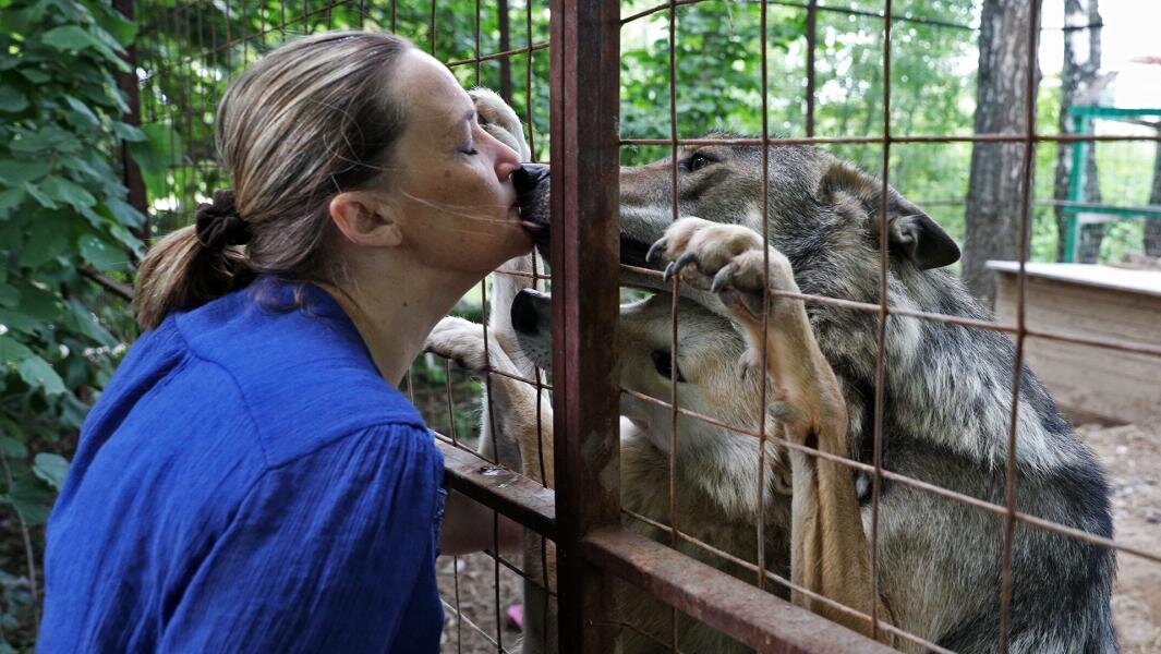 Фото: ИЗВЕСТИЯ/Дмитрий Коротаев