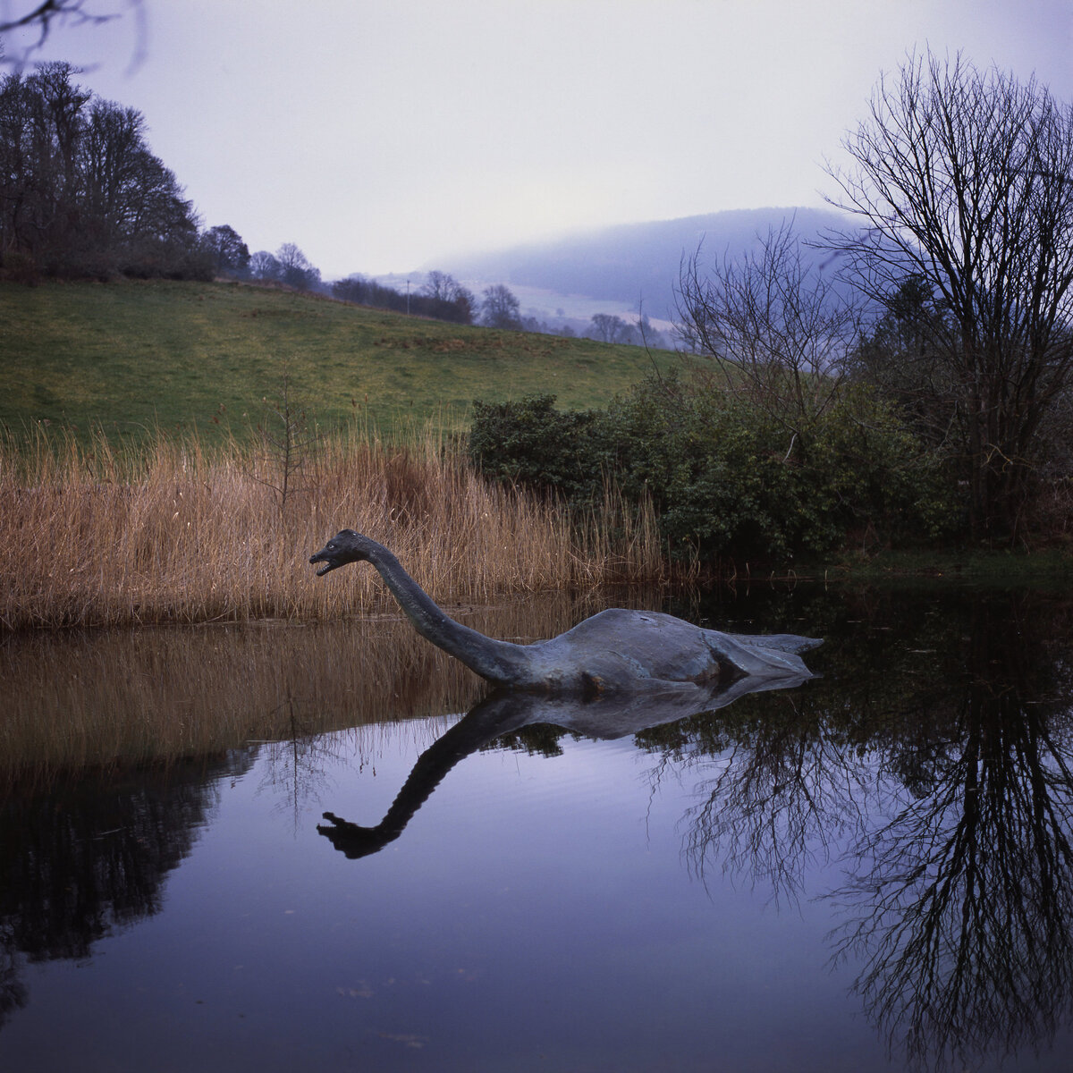 Loch ness monster. Озеро Шотландии монстр Несси. Озеро Лохнесс в Шотландии чудовище. Озеро Лохнесс Несси. Несси Лохнесское чудовище.