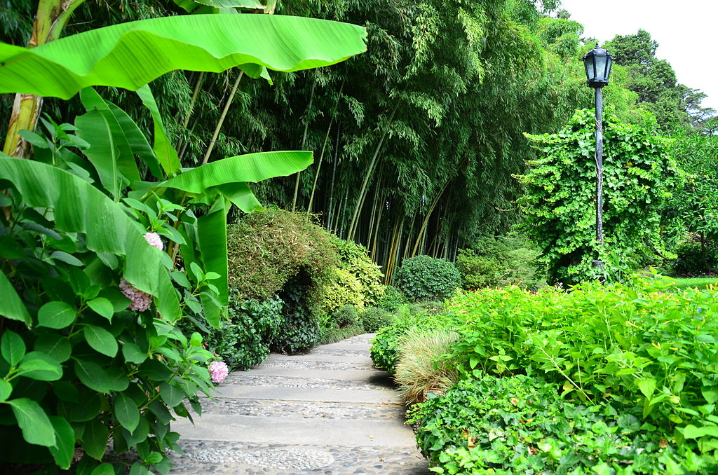 https://upload.wikimedia.org/wikipedia/commons/thumb/d/dd/Friendship_Tree_Garden_Museum_06.JPG/1024px-Friendship_Tree_Garden_Museum_06.JPG