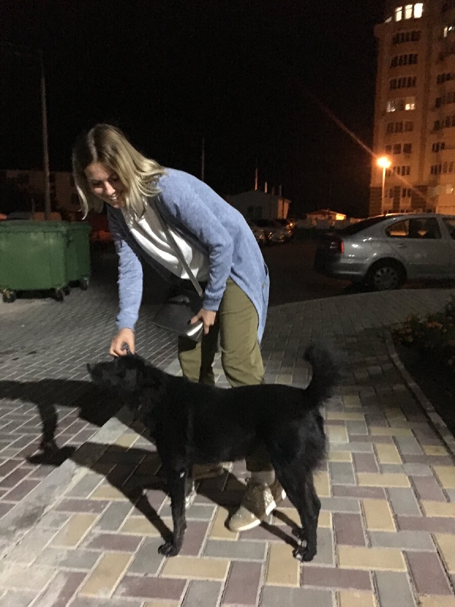 Любимый пес всего двора