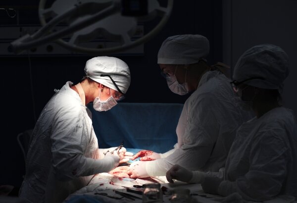 Фото: РИА Новости/Алексей Сухоруков 