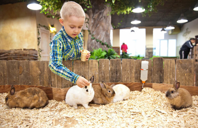 Как открыть контактный зоопарк