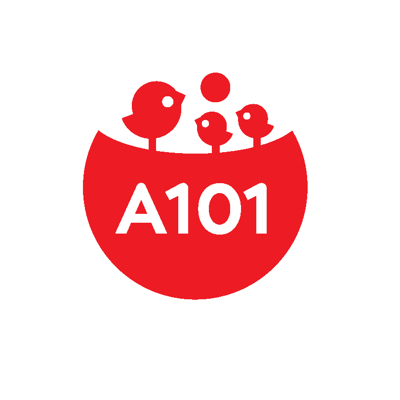 А101