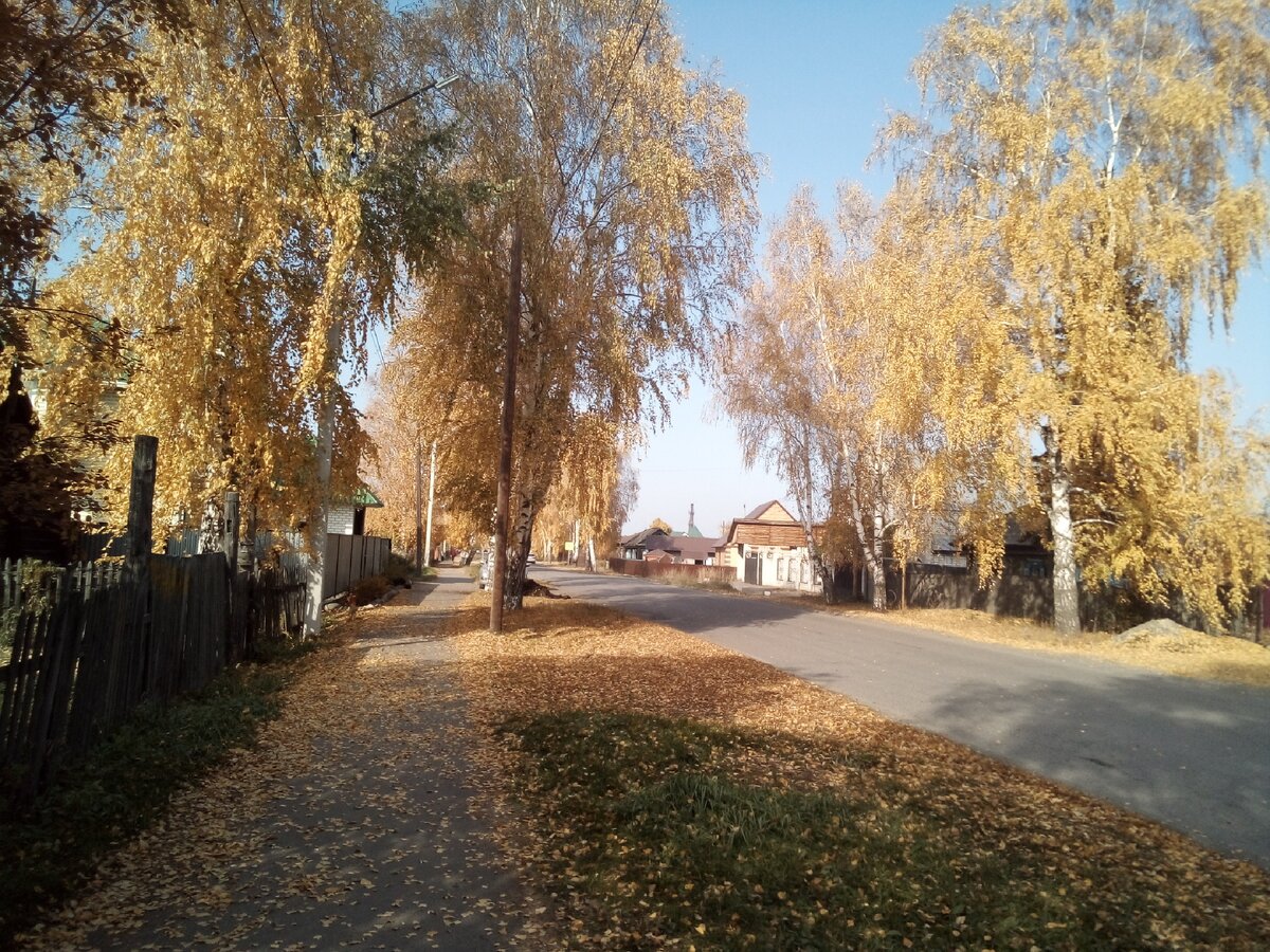 С. Алтайское, ул. Советская. Центр.