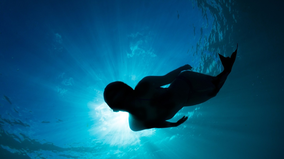 из открытых источников