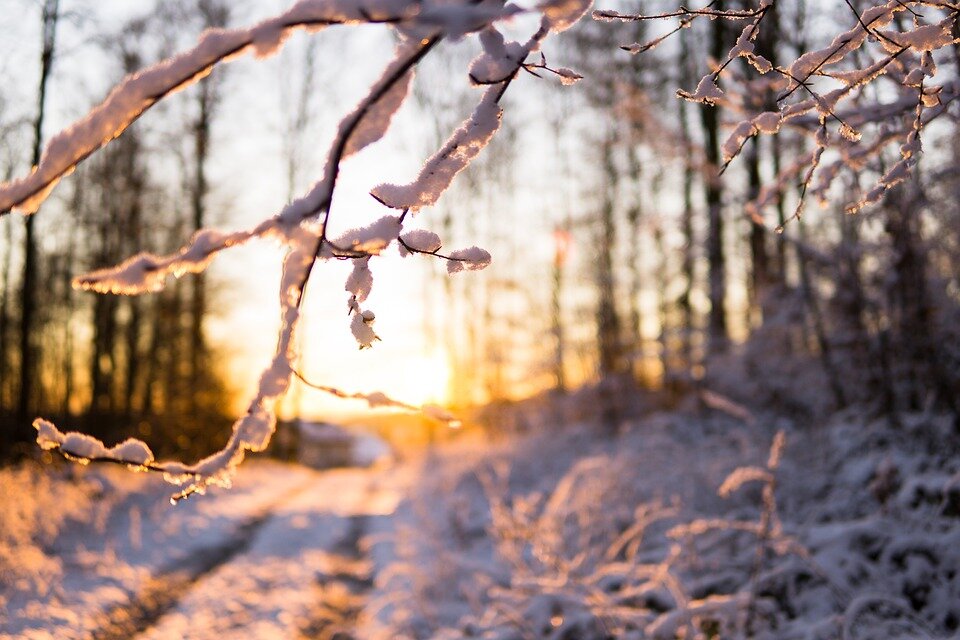 Источник: pixabay. com/