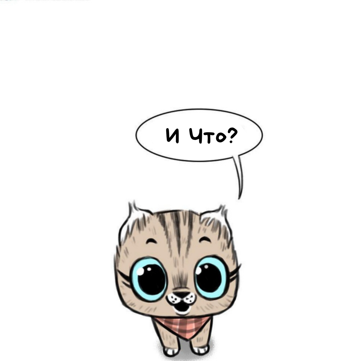 пикси взрослая кошка. Pixie kitten. фея для котенка. пикси боб. кошечка фея.