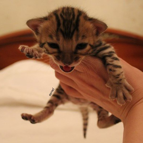 Фото моё @art_earsel | Это фотография Вени в детстве, потому что фотки ее деток остались в сломанном компьютере 