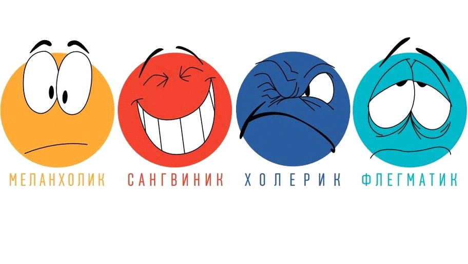 Типы темперамента, для чайников. 
