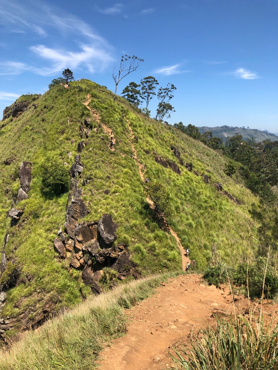 Малый пик адама. Пик адама шри-ланка. Малый пик адама шри ланка высота. Малый адамов пик. Гора шри ланка малый пик адама.