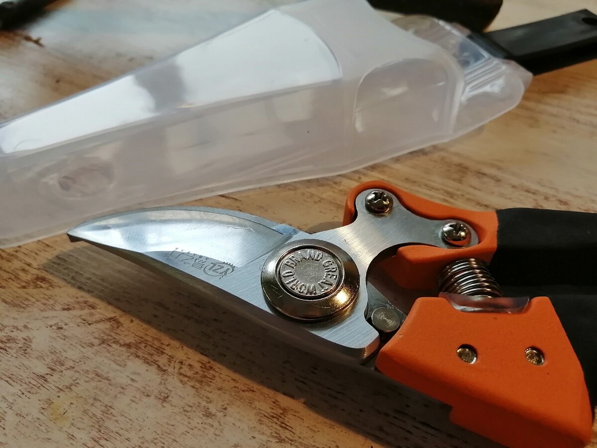 Фото автора, 19-11-2019