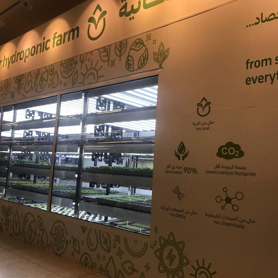 Гипермаркет Carrefour Abu Dhabi. Фото by Be Kind, Be Cruelty Free https://www.instagram.com/p/B5Z1YknnMZg/
