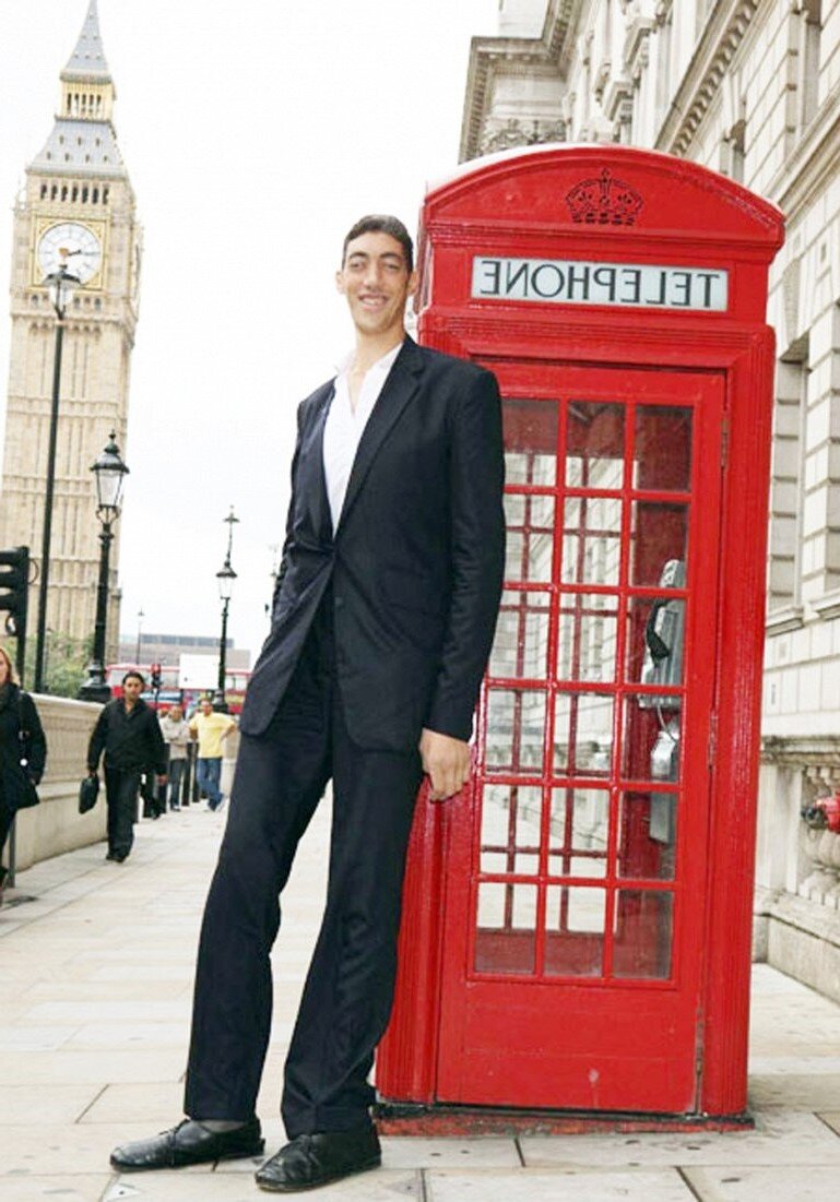 Высота: 2,51 м