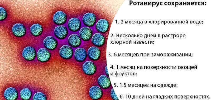 Какая ротовирус. Ротавирусная инфекция. Ротовирус долго заразен. Ротавирусы симптомы.