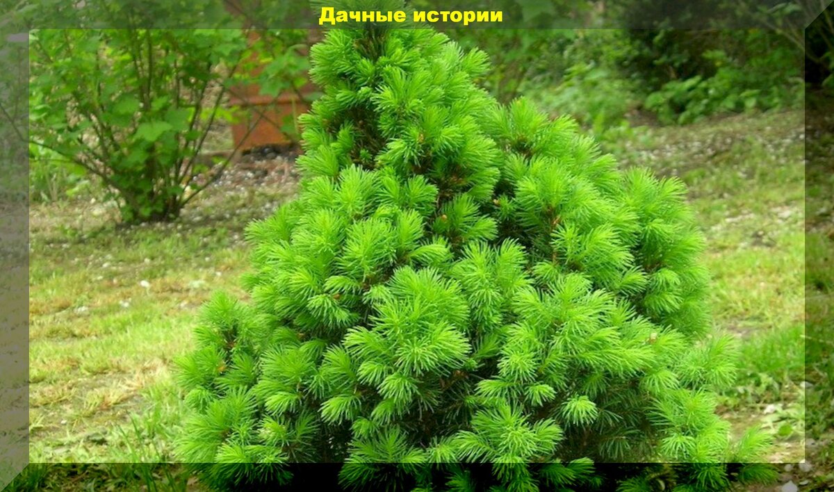https://vk.com/photo-159774511_457243054
