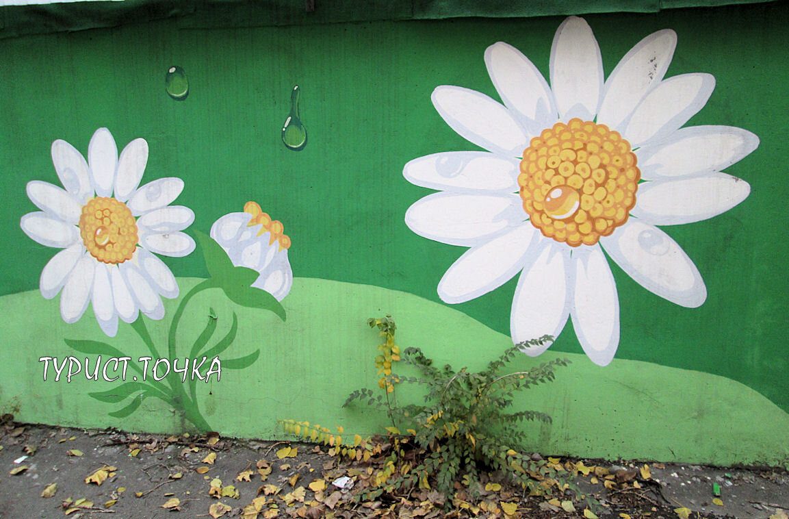 Рисунки на заборе в саду