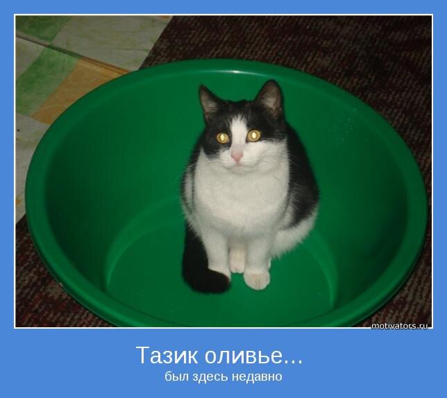 фото из свободного доступа