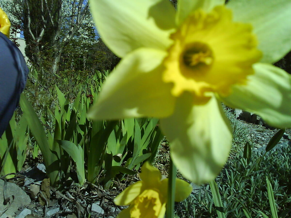 Алла Урываева