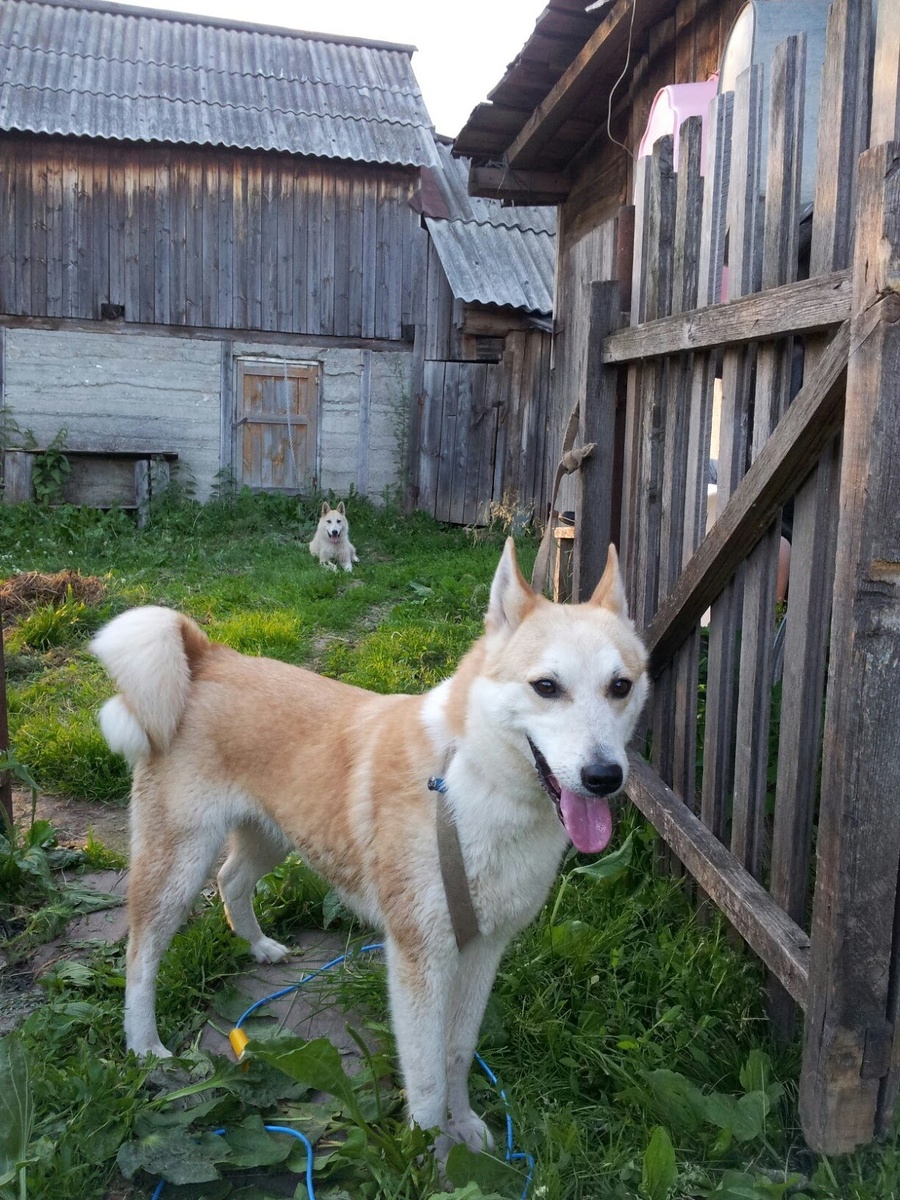 Юта и Малай