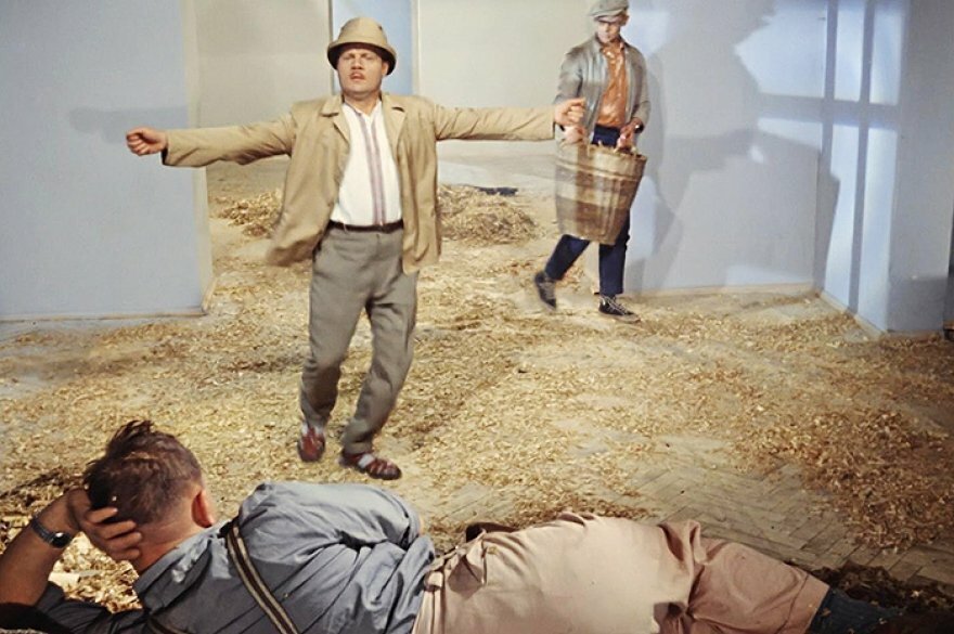 Кадр из к\ф "Операция "Ы" и другие приключения Шурика", новелла "Напарник"