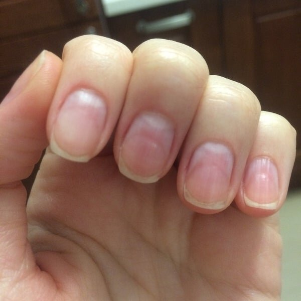 Изображение с сайта Яндекс.Картинки