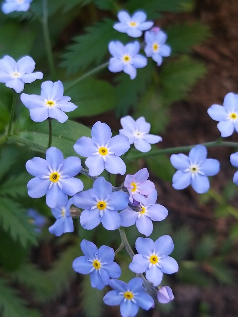  *                                                                                             Фото автора статьи