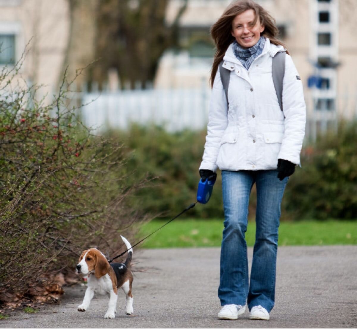 Какую прическу сделать на прогулку с собакой