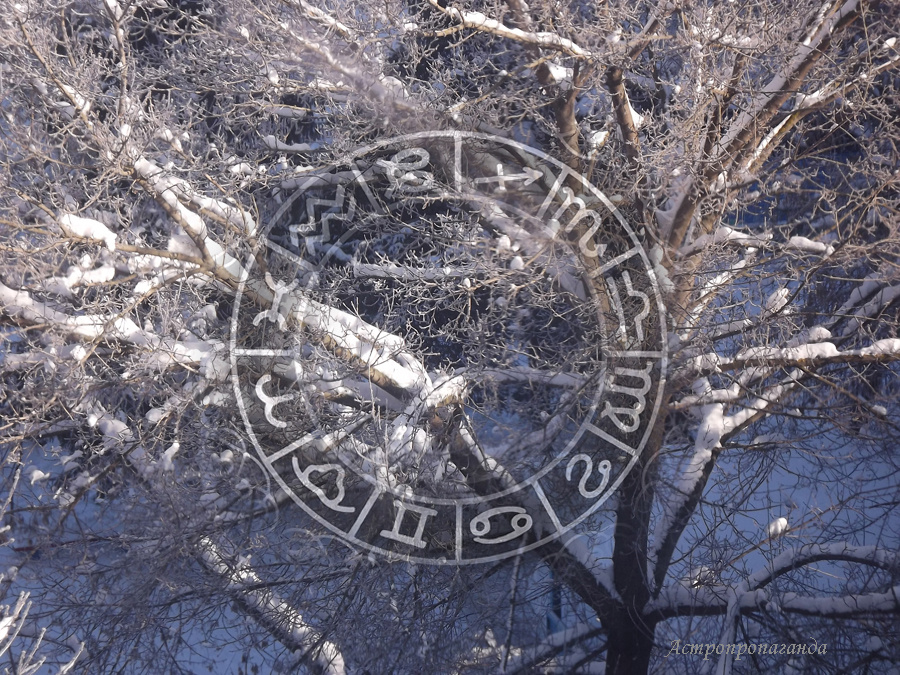 Коллаж Нины Стрелковой.