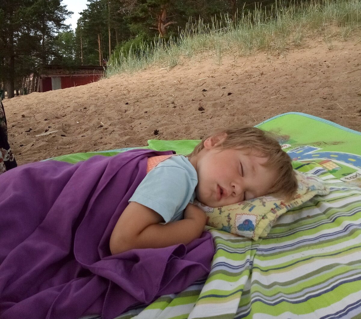 Иногда сон случается прям на природе.