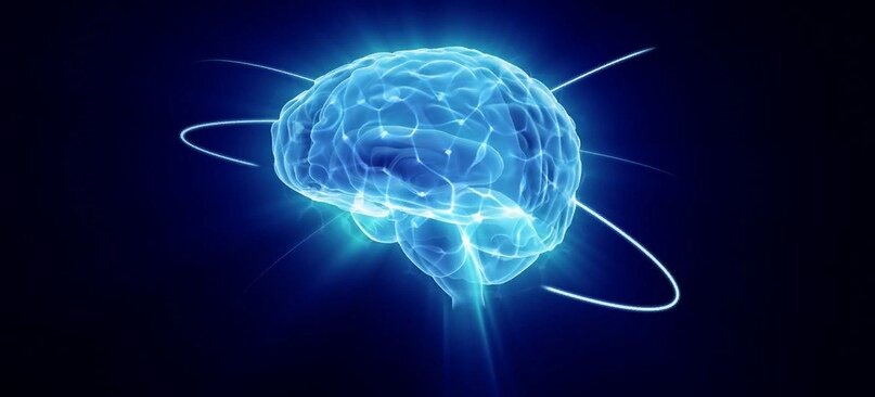 Базовая информация про интеллект