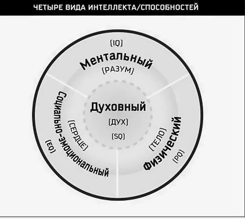 Виды интеллекта схема