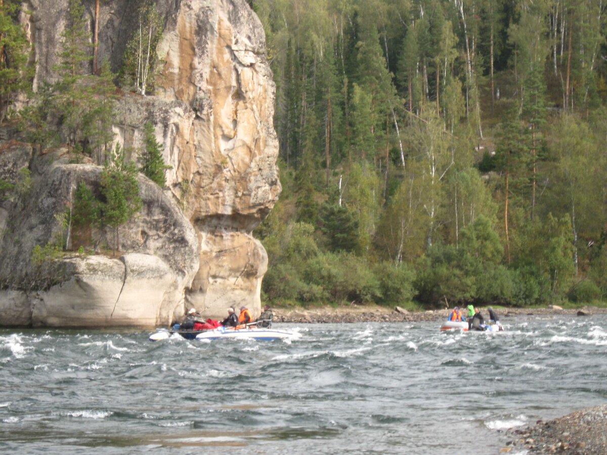 Река лебедь горный Алтай