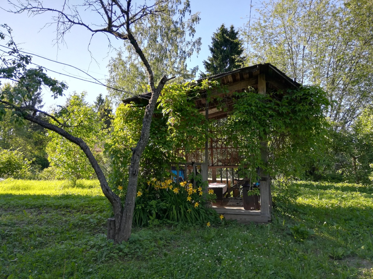 Наша беседка. Ей 34 года 