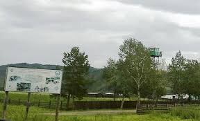 открытый источник ru.wikipedia.org 