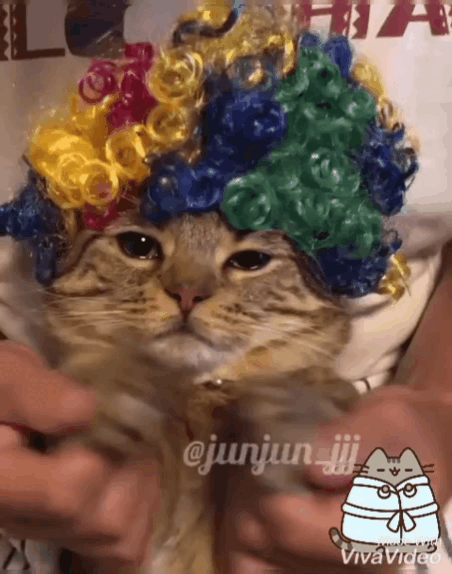 Я никуда не спешу, я красавец нарасхват