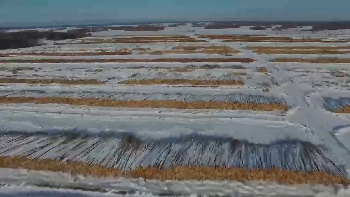 Яндекс-картинки.