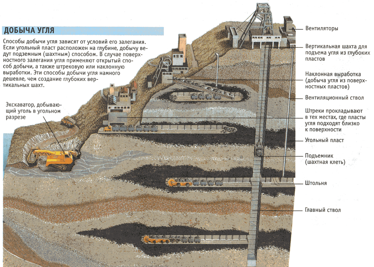 Формирование залежей каменного угля возникновение первых рептилий. Строение Шахты по добыче угля. Схема угольной Шахты в разрезе. Схема Шахты по добыче руды. Схема Шахты добычи угля.