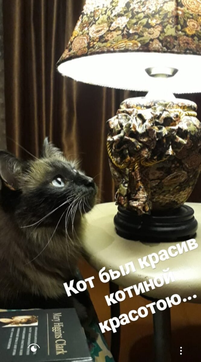 Мой Гарик, отважный трусишка.