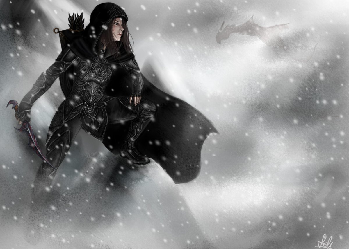 Tes 5 Skyrim Довакин